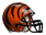Cincinnati Bengals :nflbengals: :nflbengals: